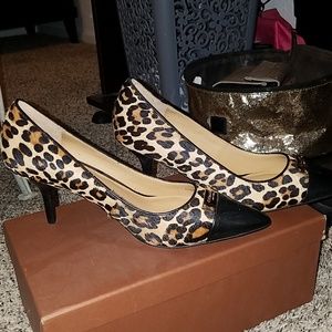 Coach kitten heels